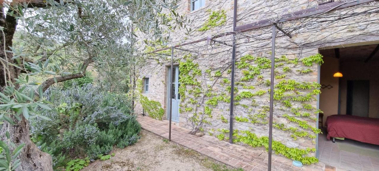 Borgo Cardaneto Bed & Breakfast Montone  Exterior photo