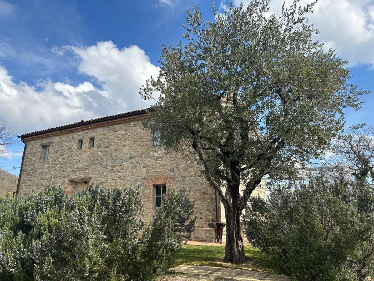 Borgo Cardaneto Bed & Breakfast Montone  Exterior photo