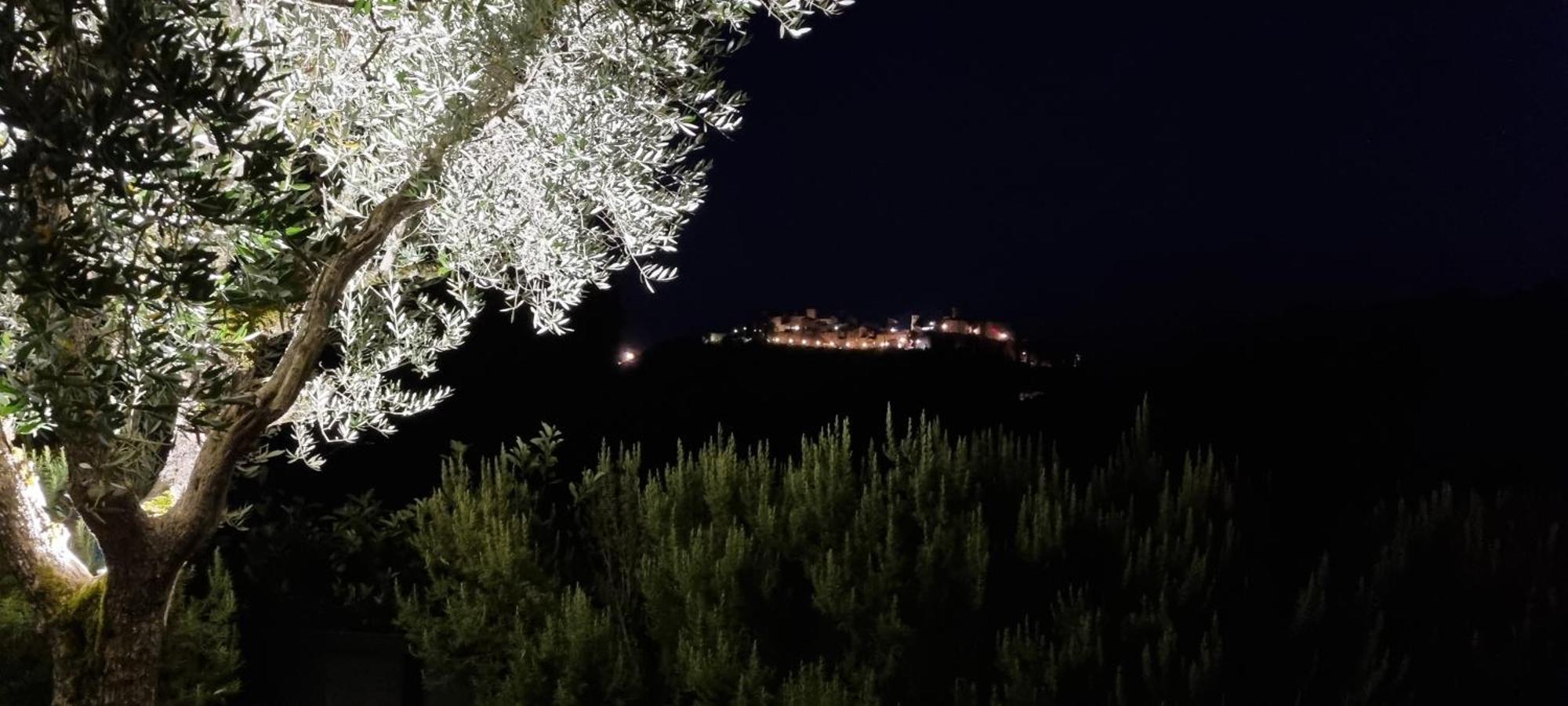 Borgo Cardaneto Bed & Breakfast Montone  Exterior photo