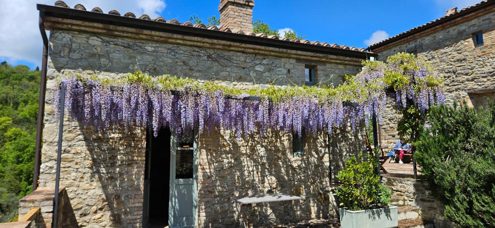 Borgo Cardaneto Bed & Breakfast Montone  Exterior photo